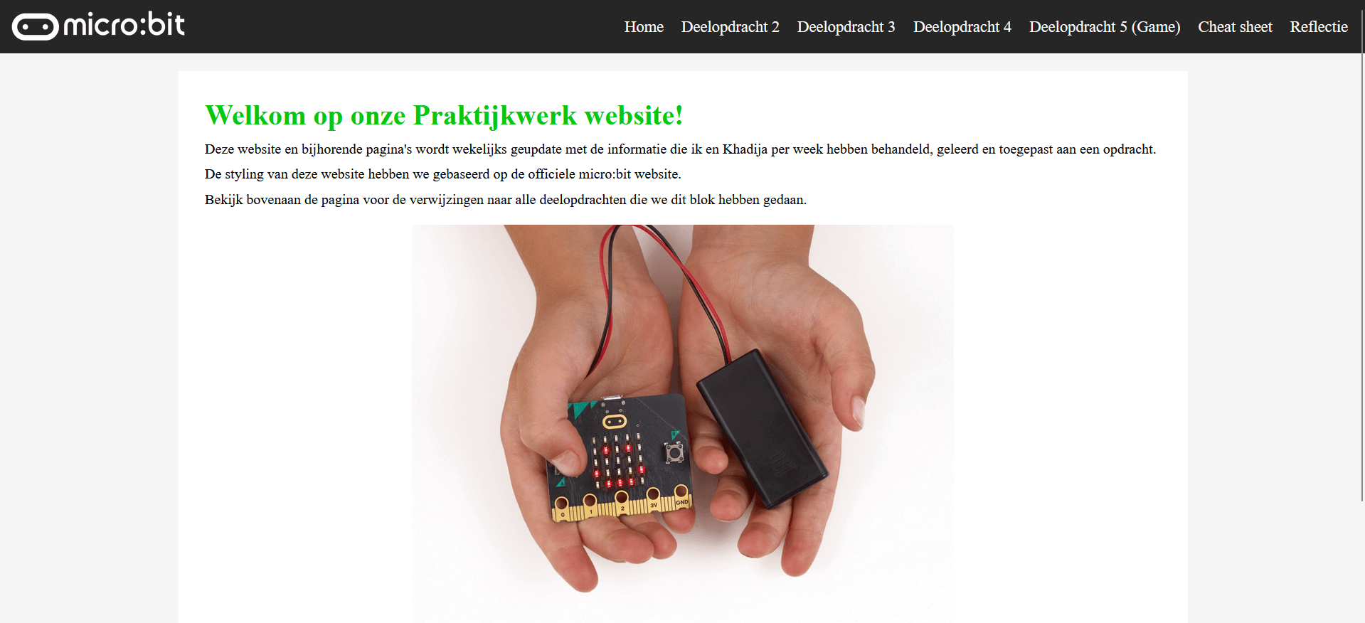 Praktijkwerk website