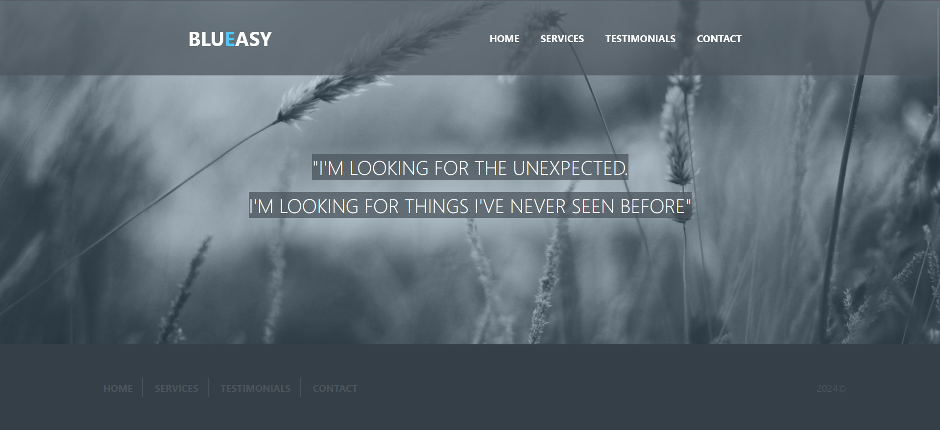 Blueasy website