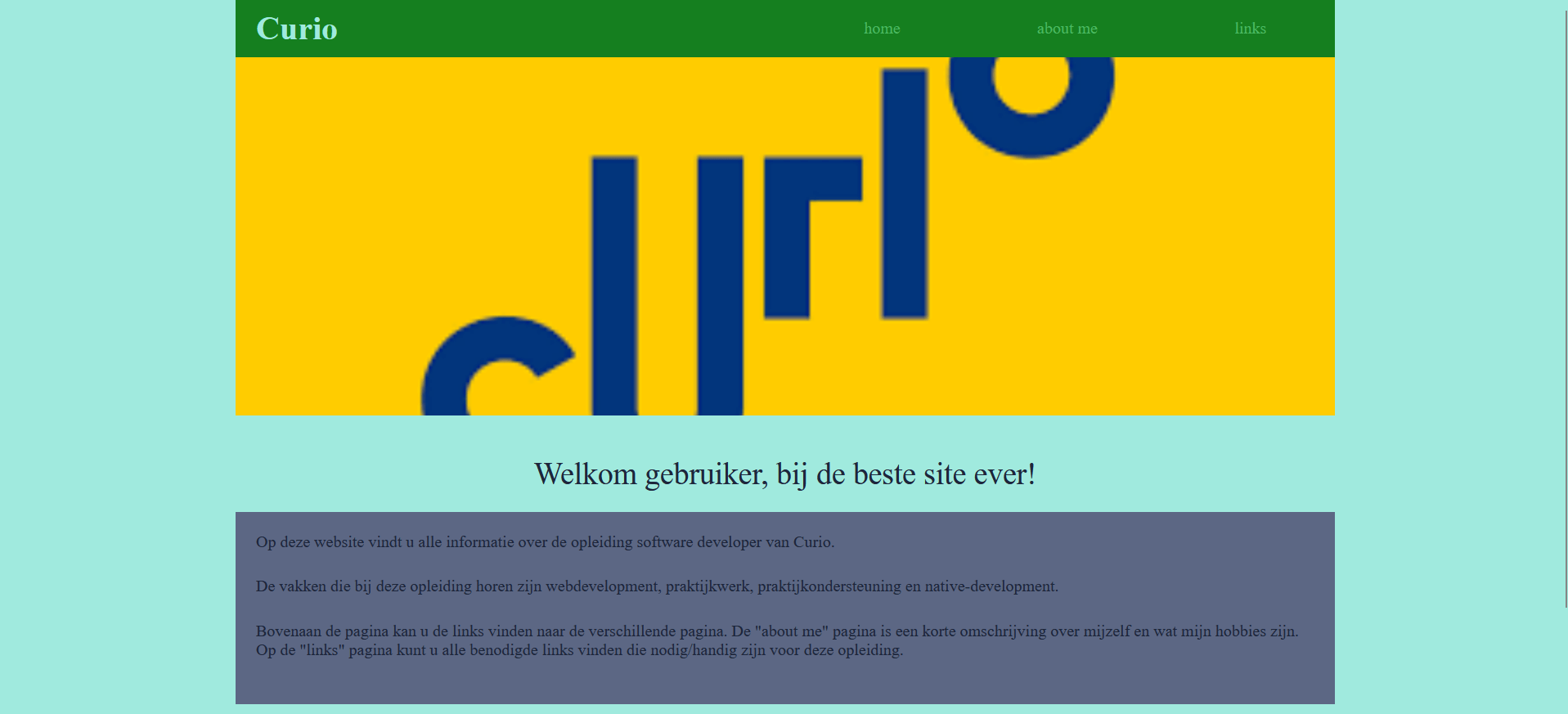 School website
